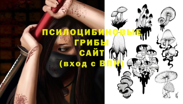 ПСИЛОЦИБИНОВЫЕ ГРИБЫ Алексин