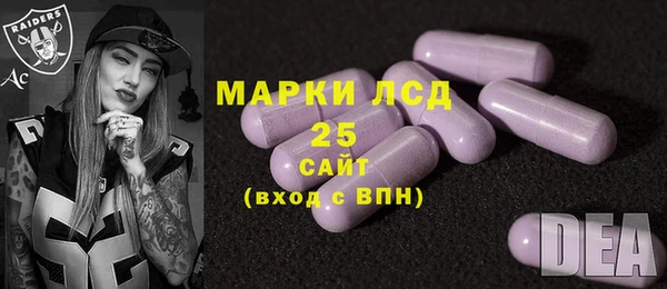 ПСИЛОЦИБИНОВЫЕ ГРИБЫ Алексин