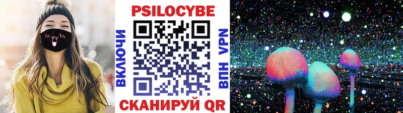 купить   Камышлов  Галлюциногенные грибы Cubensis 
