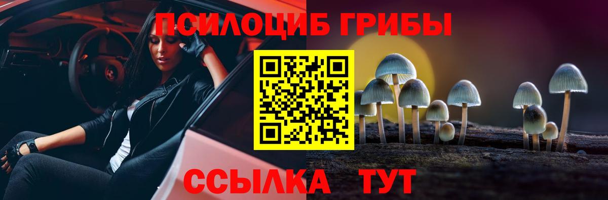 Псилоцибиновые грибы ЛСД Камышлов