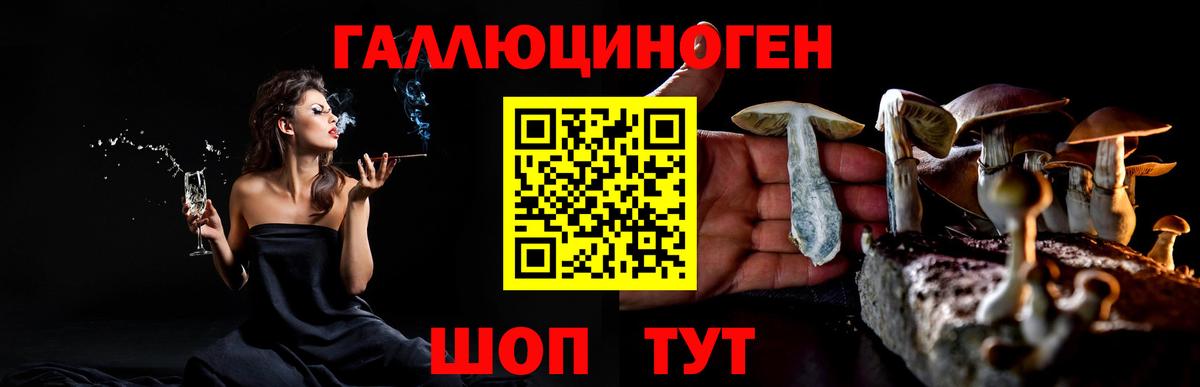 Камышлов  Псилоцибиновые грибы MAGIC MUSHROOMS  Вход с VPN  Псилоцибиновые грибы мухоморы 